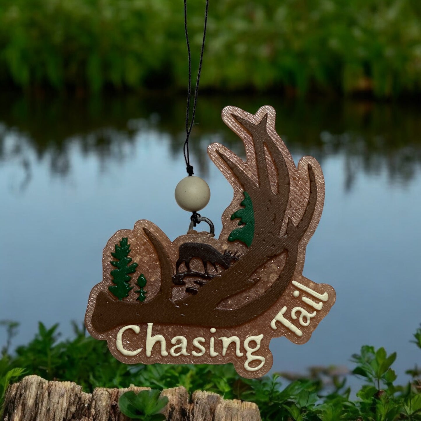 Chasing Tail