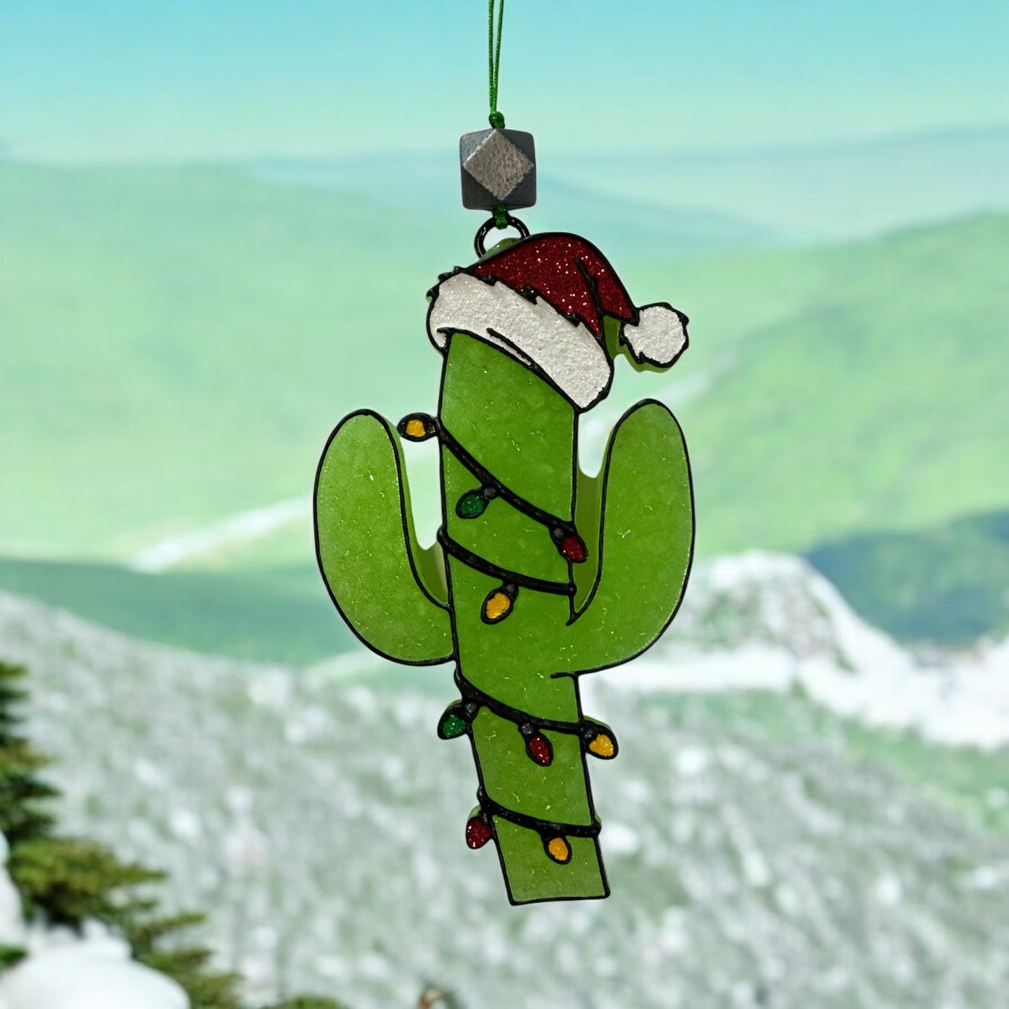 Christmas Cactus