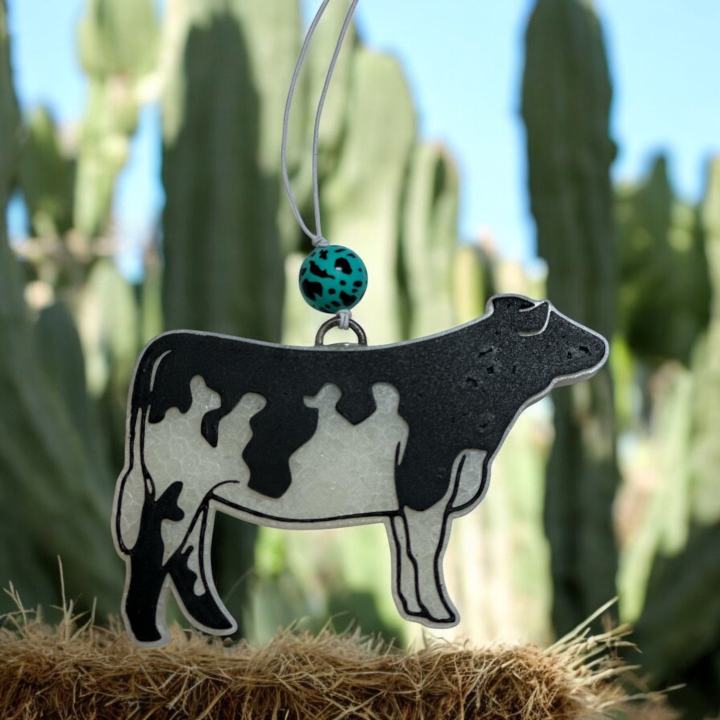 Show Cow