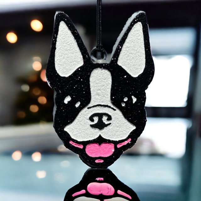 Boston Terrier